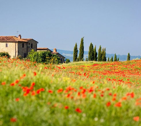 Agriturismo con campeggio