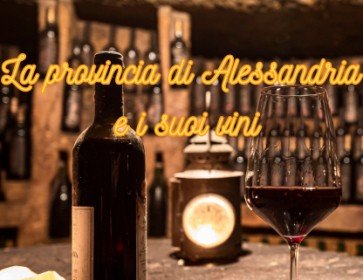 La provincia di Alessandria e i suoi vini