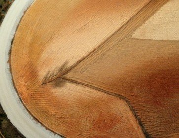 Rassegna Stampa di Ottobre 2023