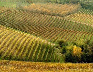 Rassegna Stampa di Ottobre