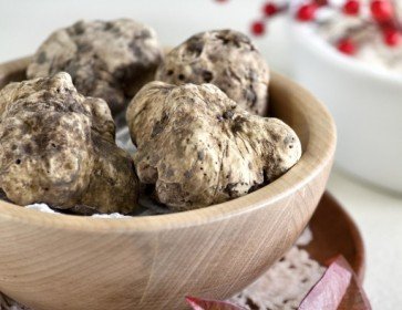 “Acqui e Sapori": la mostra regionale del tartufo di Acqui Terme torna il 26 e il 27 novembre
