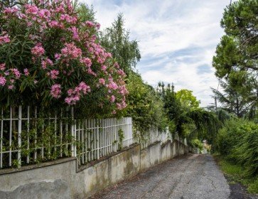 Rassegna Stampa di Marzo