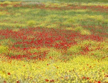 Rassegna Stampa di Agosto