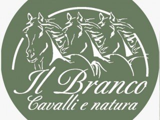 Il branco - Cavalli e natura
