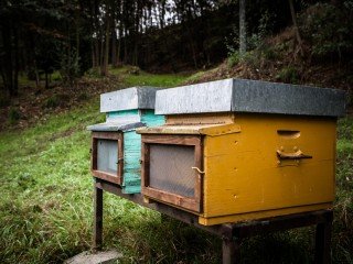 Museo dell'Apicoltura del Maglietto