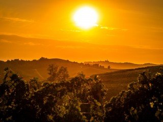 MARENCO VITICOLTORI IN STREVI