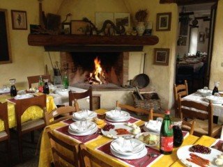 Azienda Agricola Decerchi Lucrezia - La Molina