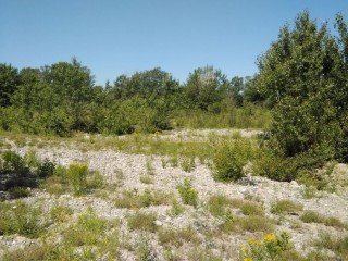 SIC Torrente Scrivia