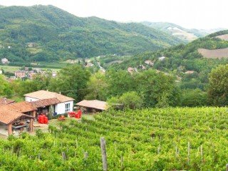 AZIENDA AGRICOLA CASCINA BANDIERA