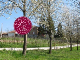 B&B "LA COLLINA DEI CILIEGI"