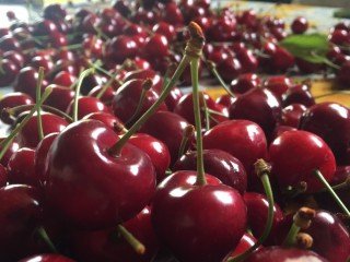 AZ. AGR. FAMIGLIA PISACCO