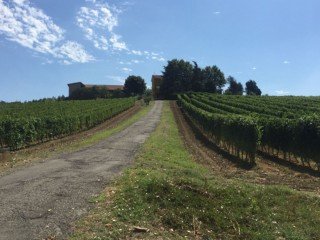 AZIENDA AGRICOLA CERABINO DI CAVO MARCO