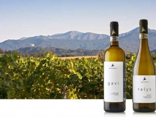 Molinetto Azienda Agricola