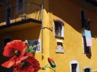 IL CAMPO DEI PAPAVERI