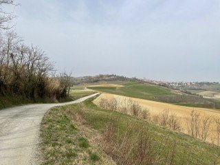 Piemonte Gravel - Petalo Basso Monferrato