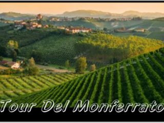 Autonoleggio Criniti - NOLEGGIO AUTO E PULMINI CON CONDUCENTE