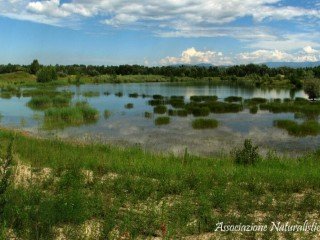 Oasi Naturalistica di Isola Sant'Antonio