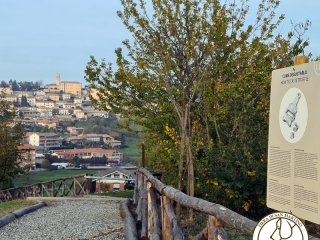 Tartufaia Didattica "Tabui"