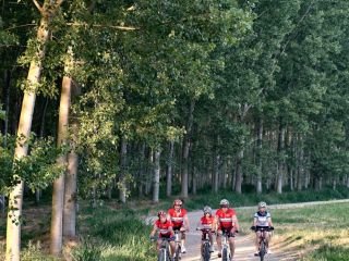 Il Sentiero delle Ginestre