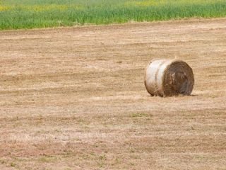 In bici tra Valle Belbo e Valle Bormida