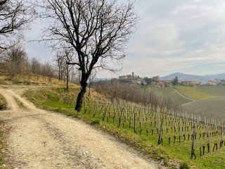 Piemonte Gravel - Petalo Colli Tortonesi
