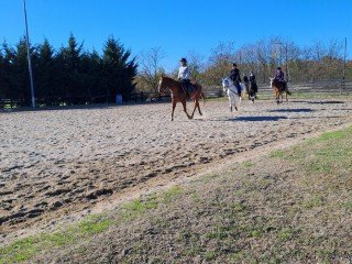 Centro Ippico La Selva