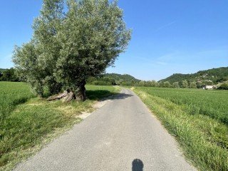 Piemonte Gravel - Petalo Gavi e Ovada D.O.C.