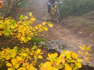 Il lungo anello di San Vito